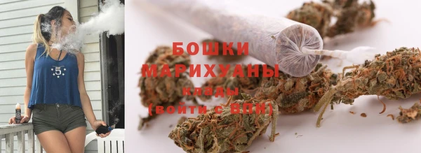 ПСИЛОЦИБИНОВЫЕ ГРИБЫ Верхний Тагил