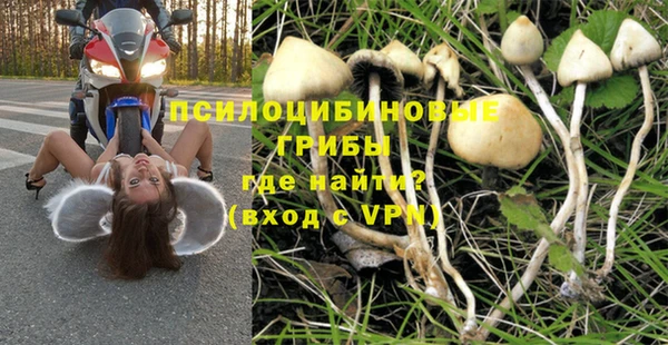 ПСИЛОЦИБИНОВЫЕ ГРИБЫ Верхний Тагил