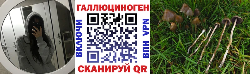 Галлюциногенные грибы GOLDEN TEACHER  купить закладку  Электрогорск 