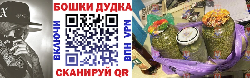 купить наркотики цена  гидра вход  Шишки марихуана план  Электрогорск 